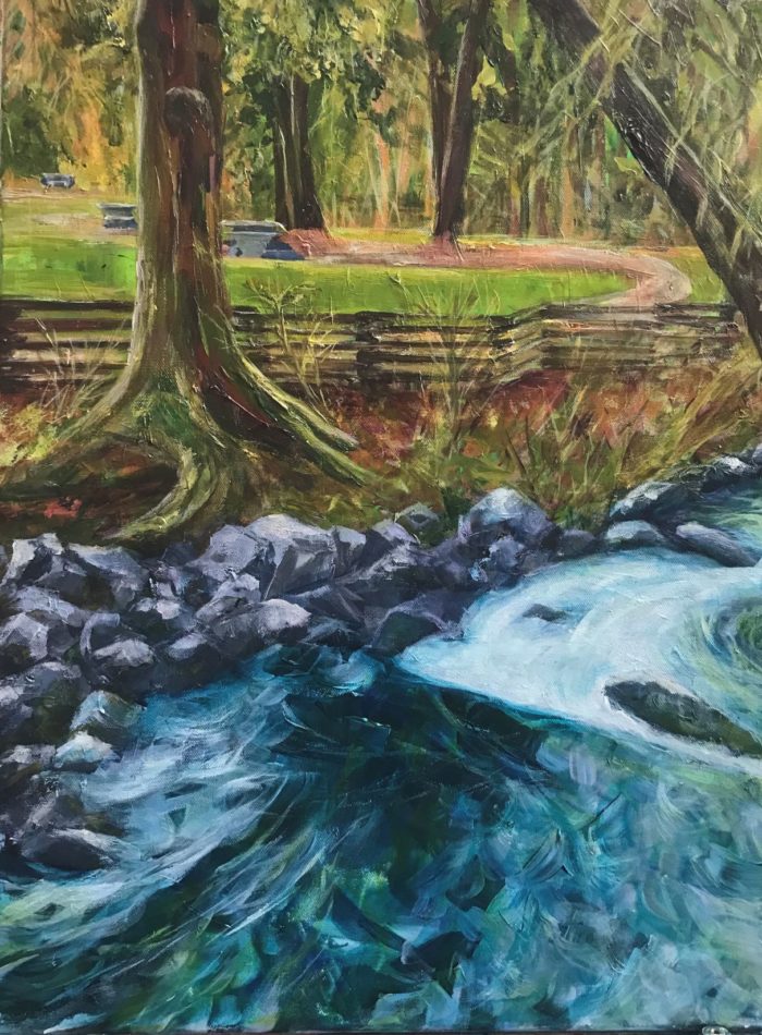 Tynehead Stream